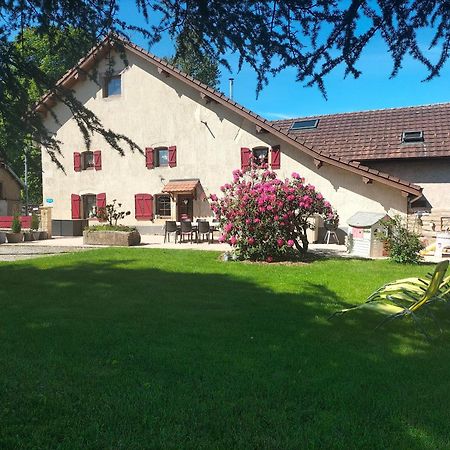 Gite Belle Fleur 6 Personnes- Vosges Saint-Nabord المظهر الخارجي الصورة