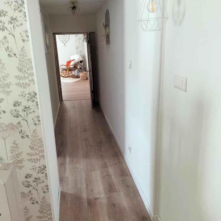 Gite Belle Fleur 6 Personnes- Vosges Saint-Nabord المظهر الخارجي الصورة