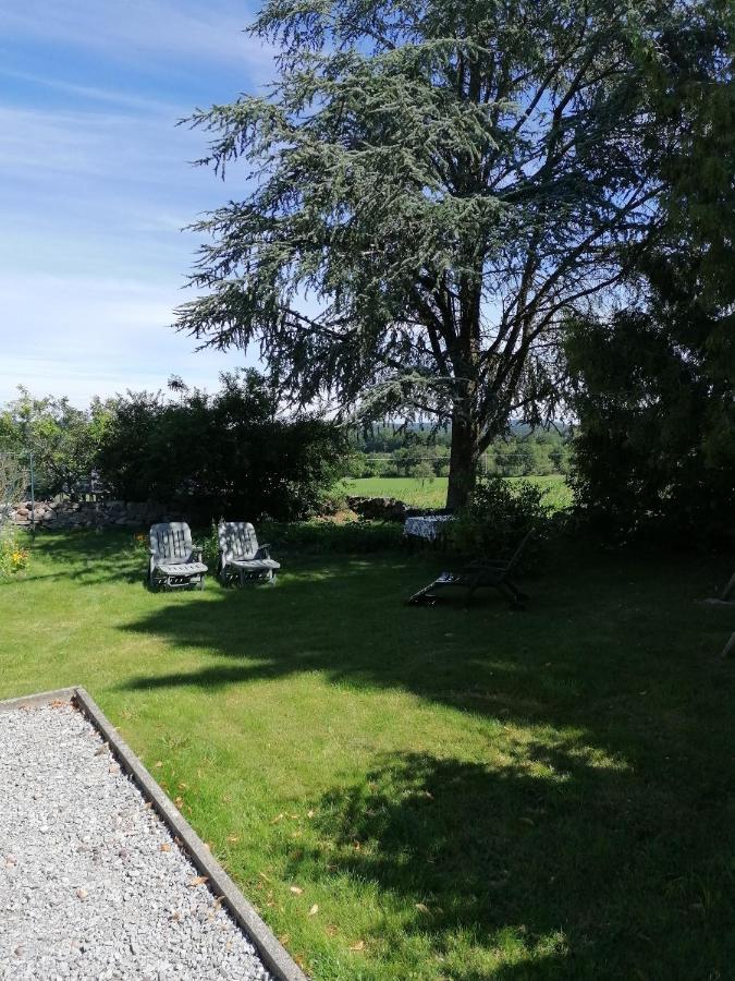 Gite Belle Fleur 6 Personnes- Vosges Saint-Nabord المظهر الخارجي الصورة