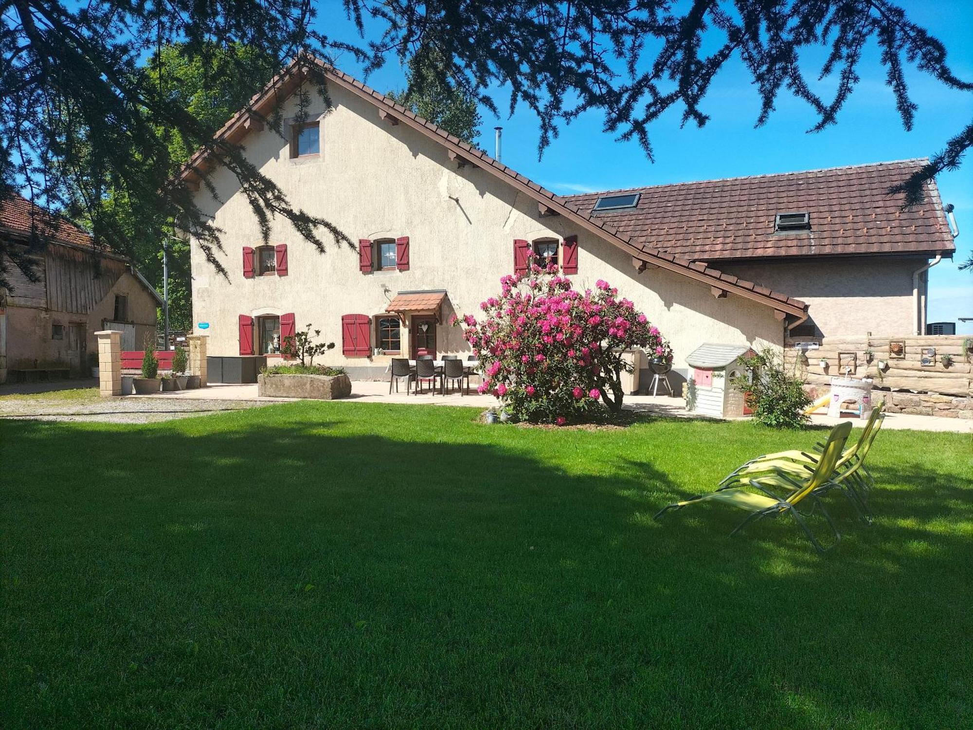 Gite Belle Fleur 6 Personnes- Vosges Saint-Nabord المظهر الخارجي الصورة