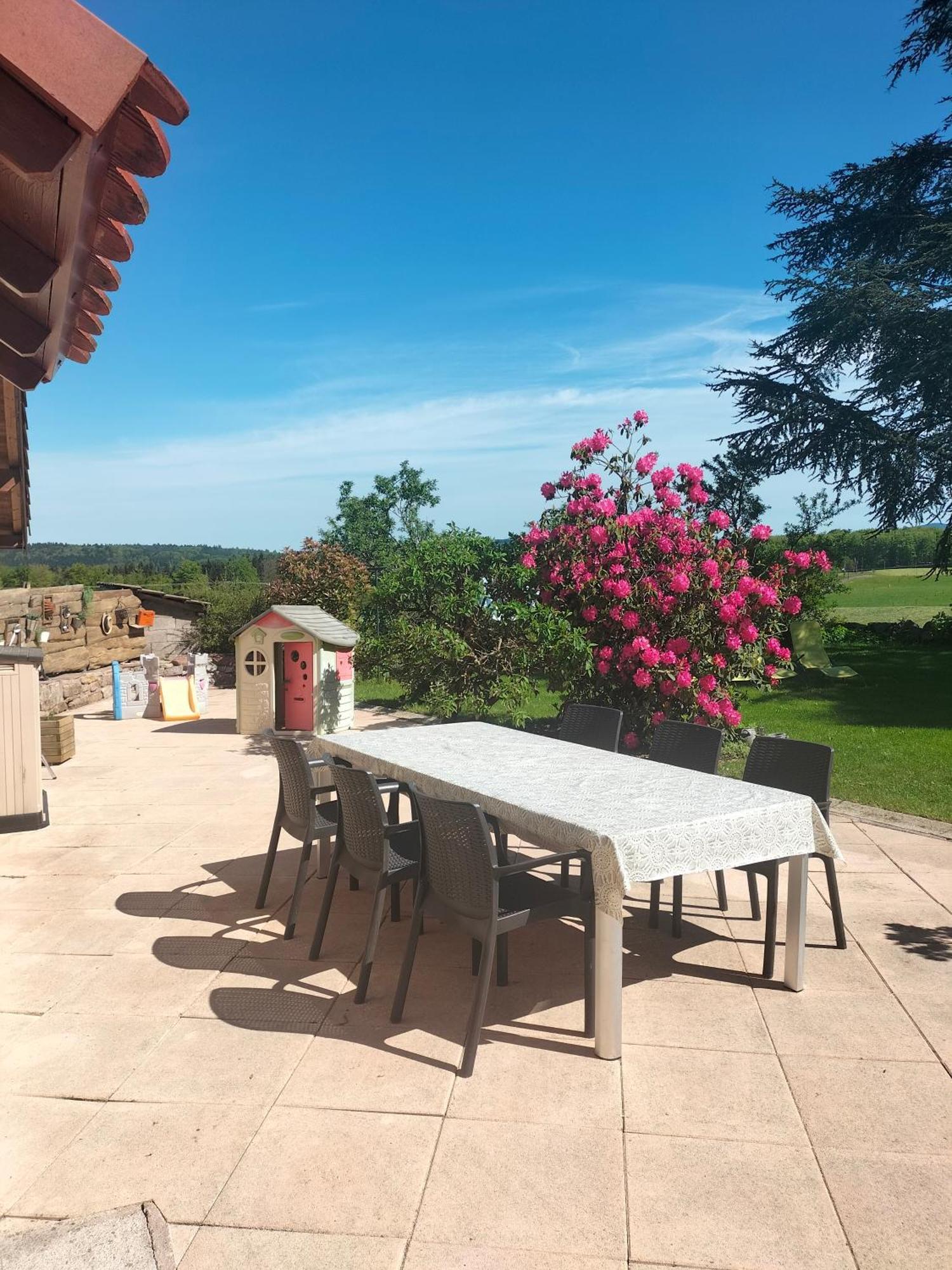 Gite Belle Fleur 6 Personnes- Vosges Saint-Nabord المظهر الخارجي الصورة