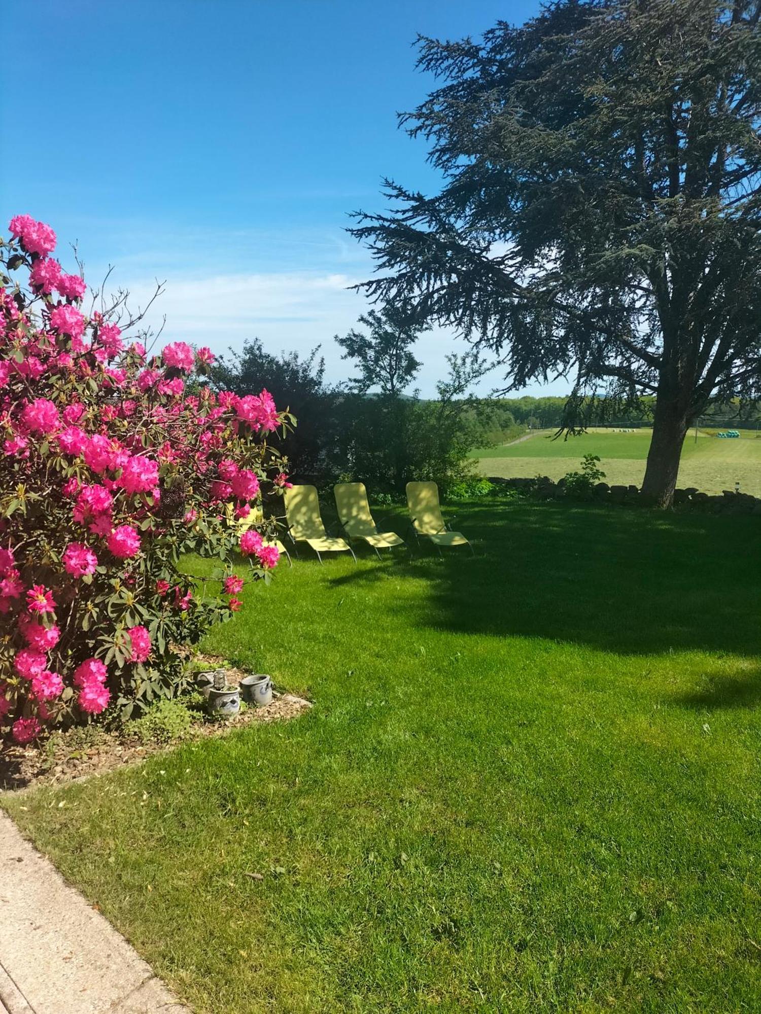 Gite Belle Fleur 6 Personnes- Vosges Saint-Nabord المظهر الخارجي الصورة